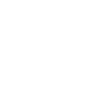 skiingicon